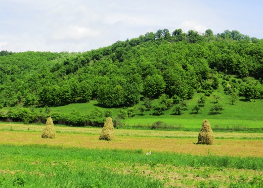 field haystacks